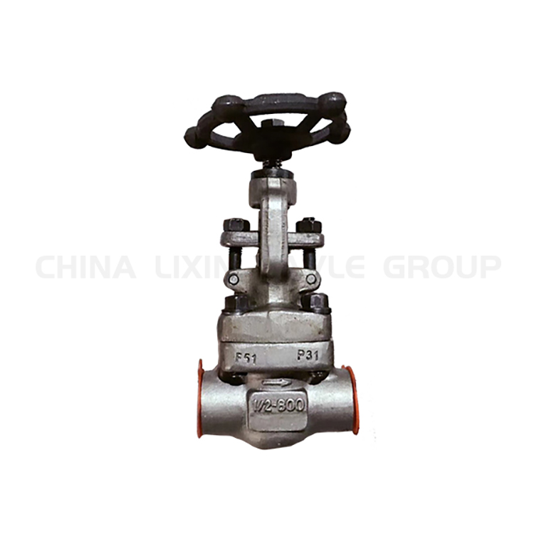 Orbit Plug Valve