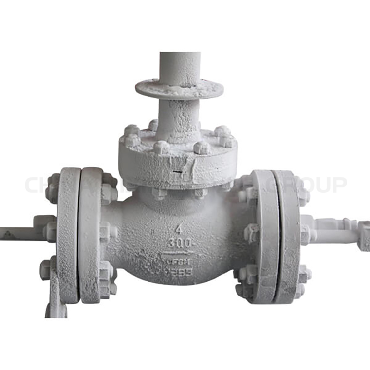 Cryogenic Globe Valves