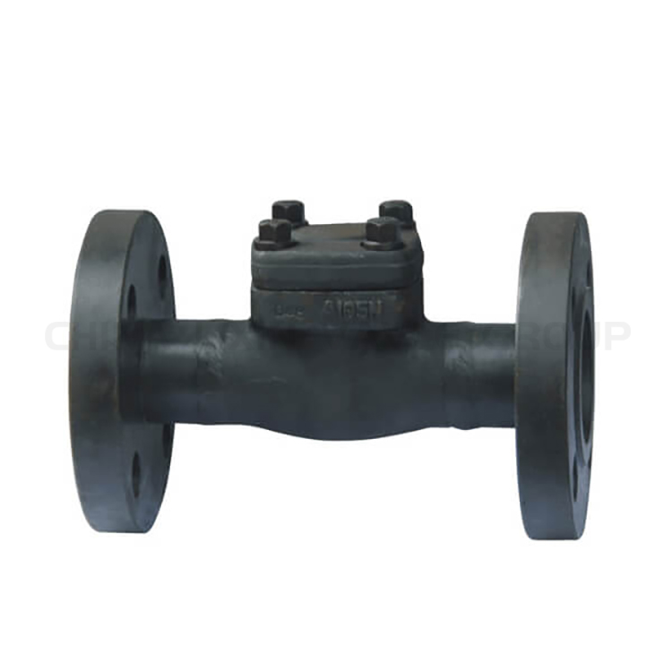 Forged Check Valves